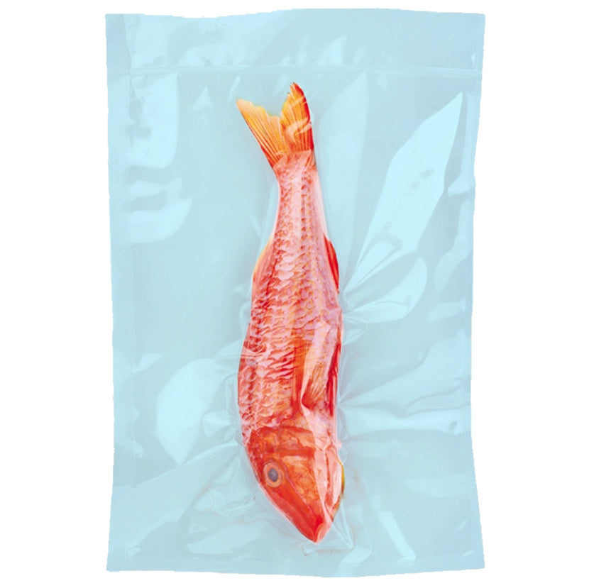 COOK & CHILL - ORVED - 100 PZ